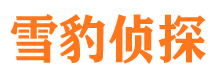 琼中侦探公司